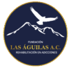 fundacionlasaguilas.mx