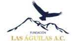 fundacionlasaguilas.mx